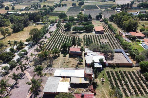 Foto de rancho en , agricultura, aguascalientes, aguascalientes, 0 foto 02 Foto de rancho en venta en , agricultura, aguascalientes, aguascalientes, 0 No. 02