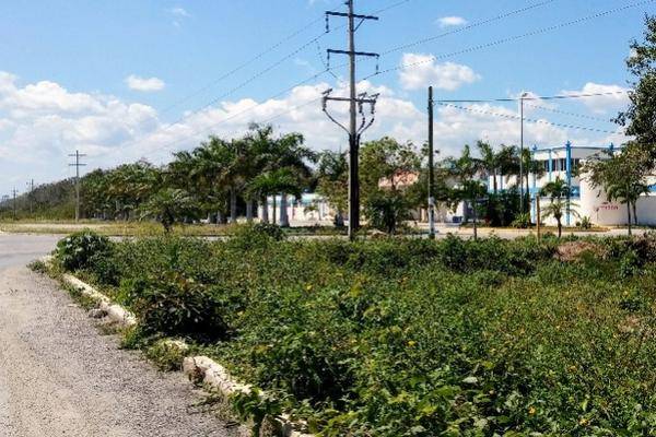 Foto de terreno habitacional en , aldea tulum, tulum, quintana roo, 28905326 foto 01 Foto de terreno habitacional en venta en , aldea tulum, tulum, quintana roo, 28905326 No. 01