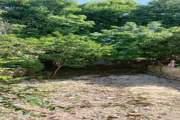 Foto de casa en amalia solorzano, mérida, yucatán , amalia solorzano, mérida, yucatán, 0 foto 04 Foto de casa en venta en amalia solorzano, mérida, yucatán , amalia solorzano, mérida, yucatán, 0 No. 04