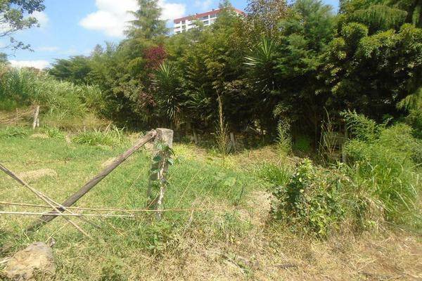 Foto de terreno habitacional en , ampliación libertad, xalapa, veracruz de ignacio de la llave, 6697618 foto 03 Foto de terreno habitacional en venta en , ampliación libertad, xalapa, veracruz de ignacio de la llave, 6697618 No. 03