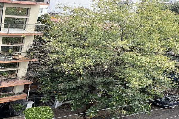 Foto de terreno habitacional en antonio sola , condesa, cuauhtémoc, df / cdmx, 0 foto 01 Foto de terreno habitacional en renta en antonio sola , condesa, cuauhtémoc, df / cdmx, 0 No. 01