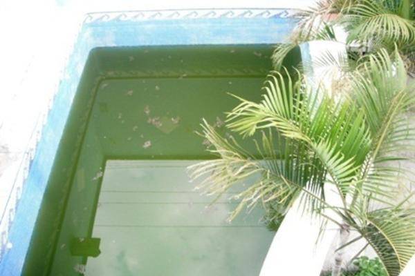 Foto de casa en arboledas y jaguey , cuahuixtla, ayala, morelos, 0 foto 05 Foto de casa en venta en arboledas y jaguey , cuahuixtla, ayala, morelos, 0 No. 05