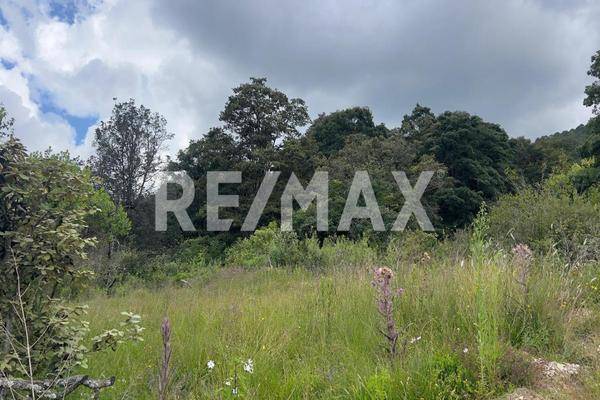 Foto de terreno habitacional en arroyos #3, en esquina con calle loma , vista hermosa, san cristóbal de las casas, chiapas, 30137599 foto 04 Foto de terreno habitacional en venta en arroyos #3, en esquina con calle loma , vista hermosa, san cristóbal de las casas, chiapas, 30137599 No. 04