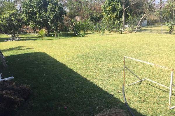 Foto de terreno habitacional en , atotonilco, tepalcingo, morelos, 3637735 foto 02 Foto de terreno habitacional en venta en , atotonilco, tepalcingo, morelos, 3637735 No. 02