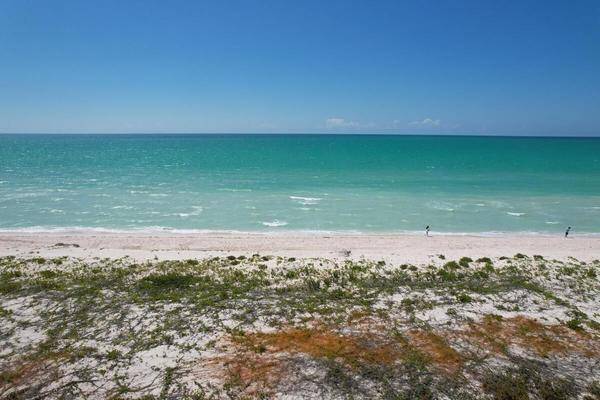 Foto de terreno habitacional en avenida felipe carrillo puerto , sisal, hunucmá, yucatán, 0 foto 04 Foto de terreno habitacional en venta en avenida felipe carrillo puerto , sisal, hunucmá, yucatán, 0 No. 04