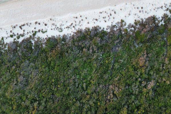 Foto de terreno habitacional en avenida felipe carrillo puerto , sisal, hunucmá, yucatán, 0 foto 02 Foto de terreno habitacional en venta en avenida felipe carrillo puerto , sisal, hunucmá, yucatán, 0 No. 02