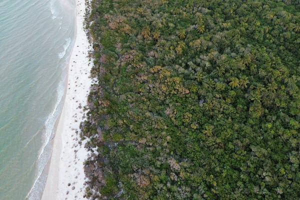 Foto de terreno habitacional en avenida felipe carrillo puerto , sisal, hunucmá, yucatán, 0 foto 03 Foto de terreno habitacional en venta en avenida felipe carrillo puerto , sisal, hunucmá, yucatán, 0 No. 03