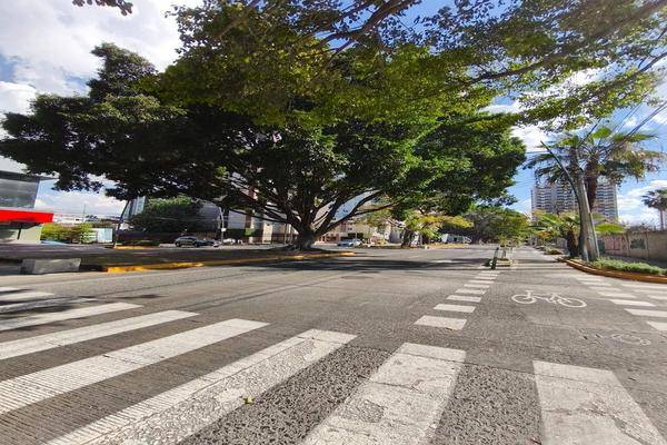 Foto de departamento en avenida juan palomar y arias , vallarta norte, guadalajara, jalisco, 0 foto 03 Foto de departamento en renta en avenida juan palomar y arias , vallarta norte, guadalajara, jalisco, 0 No. 03