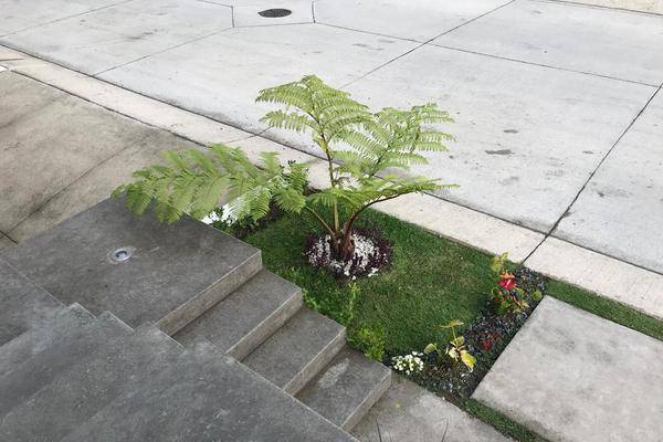 Foto de casa en avenida paseo de los robles , los robles, zapopan, jalisco, 20068465 foto 05 Foto de casa en venta en avenida paseo de los robles , los robles, zapopan, jalisco, 20068465 No. 05