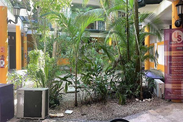 Foto de local en , aviación, solidaridad, quintana roo, 30499975 foto 02 Foto de local en renta en , aviación, solidaridad, quintana roo, 30499975 No. 02