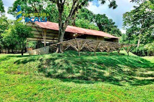 Foto de terreno habitacional en avila camacho , villa avila camacho (la ceiba), xicotepec, puebla, 3666193 foto 03 Foto de terreno habitacional en venta en avila camacho , villa avila camacho (la ceiba), xicotepec, puebla, 3666193 No. 03