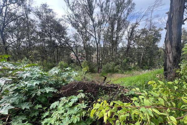 Foto de terreno habitacional en , bosques del lago, cuautitlán izcalli, méxico, 0 foto 02 Foto de terreno habitacional en venta en , bosques del lago, cuautitlán izcalli, méxico, 0 No. 02