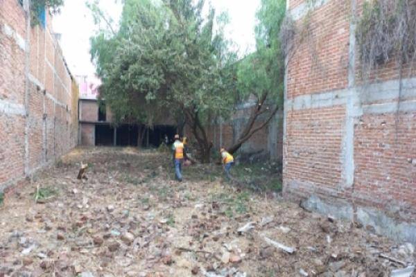 Foto de local en boulevard la luz , el coecillo, león, guanajuato, 25419578 foto 03 Foto de local en venta en boulevard la luz , el coecillo, león, guanajuato, 25419578 No. 03