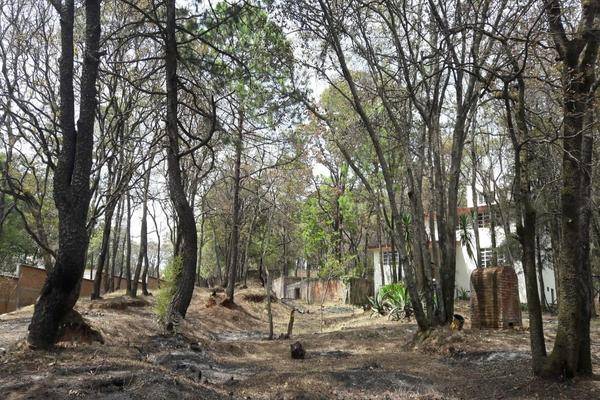 Foto de casa en boulevard san martín , san martín cachihuapan, villa del carbón, méxico, 27702248 foto 04 Foto de casa en venta en boulevard san martín , san martín cachihuapan, villa del carbón, méxico, 27702248 No. 04