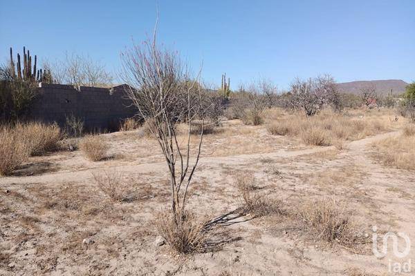 Foto de terreno habitacional en calle ematita , la pitahaya, la paz, baja california sur, 0 foto 02 Foto de terreno habitacional en venta en calle ematita , la pitahaya, la paz, baja california sur, 0 No. 02