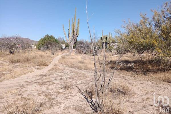 Foto de terreno habitacional en calle ematita , la pitahaya, la paz, baja california sur, 0 foto 03 Foto de terreno habitacional en venta en calle ematita , la pitahaya, la paz, baja california sur, 0 No. 03