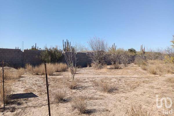Foto de terreno habitacional en calle ematita , la pitahaya, la paz, baja california sur, 0 foto 04 Foto de terreno habitacional en venta en calle ematita , la pitahaya, la paz, baja california sur, 0 No. 04