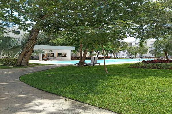 Foto de departamento en calle , los olivos, solidaridad, quintana roo, 0 foto 01 Foto de departamento en renta en calle , los olivos, solidaridad, quintana roo, 0 No. 01