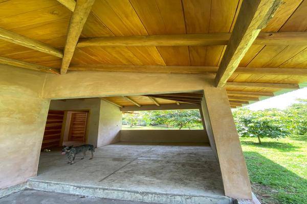 Foto de rancho en camino a viejo cacahoatán seccion margaritas , cacahoatán centro, cacahoatán, chiapas, 30454680 foto 05 Foto de rancho en venta en camino a viejo cacahoatán seccion margaritas , cacahoatán centro, cacahoatán, chiapas, 30454680 No. 05