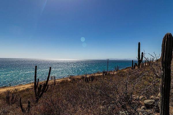 Foto de terreno habitacional en camino al cardonal , los barriles, la paz, baja california sur, 24483883 foto 05 Foto de terreno habitacional en venta en camino al cardonal , los barriles, la paz, baja california sur, 24483883 No. 05