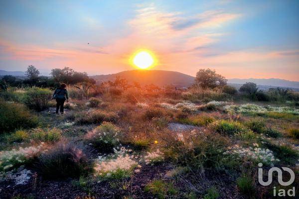 Foto de terreno habitacional en camino de acceso , san miguel tornacuxtla, san agustín tlaxiaca, hidalgo, 0 foto 01 Foto de terreno habitacional en venta en camino de acceso , san miguel tornacuxtla, san agustín tlaxiaca, hidalgo, 0 No. 01