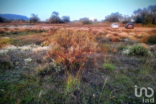 Foto de terreno habitacional en camino de acceso , san miguel tornacuxtla, san agustín tlaxiaca, hidalgo, 0 foto 02 Foto de terreno habitacional en venta en camino de acceso , san miguel tornacuxtla, san agustín tlaxiaca, hidalgo, 0 No. 02
