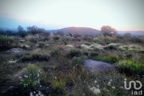 Foto de terreno habitacional en camino de acceso , san miguel tornacuxtla, san agustín tlaxiaca, hidalgo, 0 foto 03 Foto de terreno habitacional en venta en camino de acceso , san miguel tornacuxtla, san agustín tlaxiaca, hidalgo, 0 No. 03