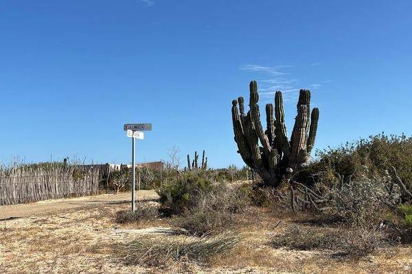 Foto de terreno habitacional en camino de la tintorera , la cahchora, la paz, baja california sur, 0 foto 02 Foto de terreno habitacional en venta en camino de la tintorera , la cahchora, la paz, baja california sur, 0 No. 02