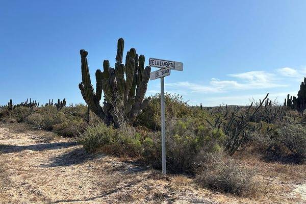 Foto de terreno habitacional en camino de la tintorera , la cahchora, la paz, baja california sur, 0 foto 03 Foto de terreno habitacional en venta en camino de la tintorera , la cahchora, la paz, baja california sur, 0 No. 03