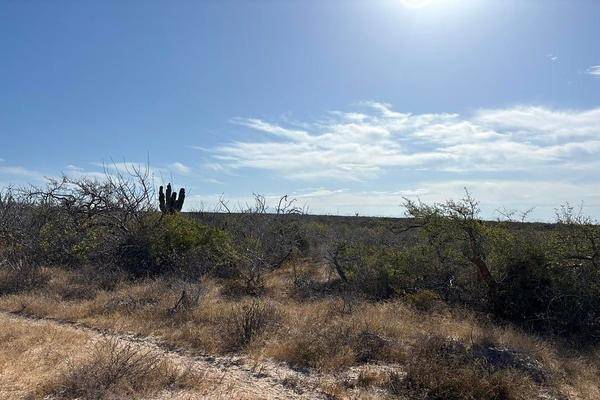 Foto de terreno habitacional en camino de la tintorera , la cahchora, la paz, baja california sur, 0 foto 06 Foto de terreno habitacional en venta en camino de la tintorera , la cahchora, la paz, baja california sur, 0 No. 06