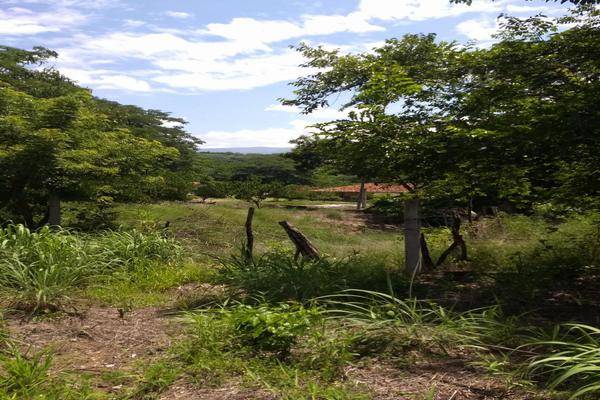 Foto de rancho en camino hacia barranca honda , nueva palestina, chiapa de corzo, chiapas, 22728989 foto 02 Foto de rancho en venta en camino hacia barranca honda , nueva palestina, chiapa de corzo, chiapas, 22728989 No. 02