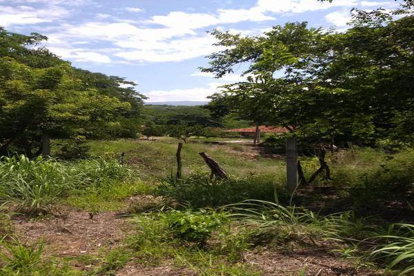 Foto de rancho en camino hacia barranca honda , nueva palestina, chiapa de corzo, chiapas, 22728989 foto 03 Foto de rancho en venta en camino hacia barranca honda , nueva palestina, chiapa de corzo, chiapas, 22728989 No. 03