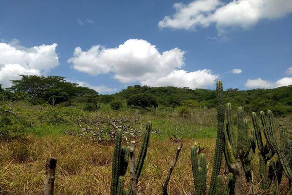 Foto de rancho en camino hacia barranca honda , nueva palestina, chiapa de corzo, chiapas, 22728989 foto 04 Foto de rancho en venta en camino hacia barranca honda , nueva palestina, chiapa de corzo, chiapas, 22728989 No. 04
