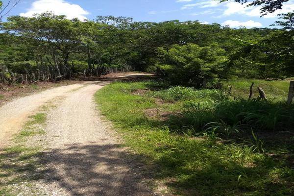 Foto de rancho en camino hacia barranca honda , nueva palestina, chiapa de corzo, chiapas, 22728989 foto 05 Foto de rancho en venta en camino hacia barranca honda , nueva palestina, chiapa de corzo, chiapas, 22728989 No. 05