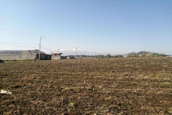 Foto de terreno habitacional en camino rancho el molino , san miguel zinacantepec, zinacantepec, méxico, 24925798 foto 03 Foto de terreno habitacional en venta en camino rancho el molino , san miguel zinacantepec, zinacantepec, méxico, 24925798 No. 03
