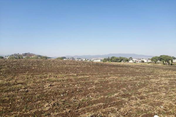 Foto de terreno habitacional en camino rancho el molino , san miguel zinacantepec, zinacantepec, méxico, 24925798 foto 04 Foto de terreno habitacional en venta en camino rancho el molino , san miguel zinacantepec, zinacantepec, méxico, 24925798 No. 04