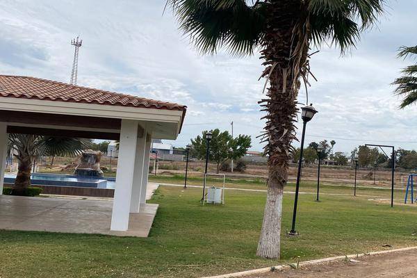 Foto de terreno habitacional en campestre el alamo , la higuerita, culiacán, sinaloa, 0 foto 05 Foto de terreno habitacional en venta en campestre el alamo , la higuerita, culiacán, sinaloa, 0 No. 05
