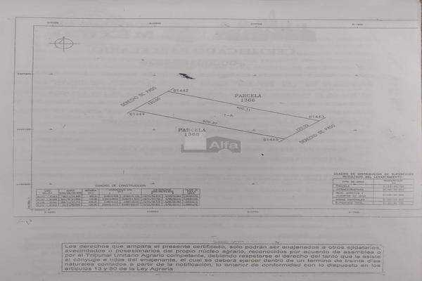 Foto de terreno industrial en carretera a matehuala kilometro 21 gasolinera el pueblito 1, armadillo de los infante, armadillo de los infante, san luis potosí, 27237271 foto 04 Foto de terreno industrial en venta en carretera a matehuala kilometro 21 gasolinera el pueblito 1, armadillo de los infante, armadillo de los infante, san luis potosí, 27237271 No. 04