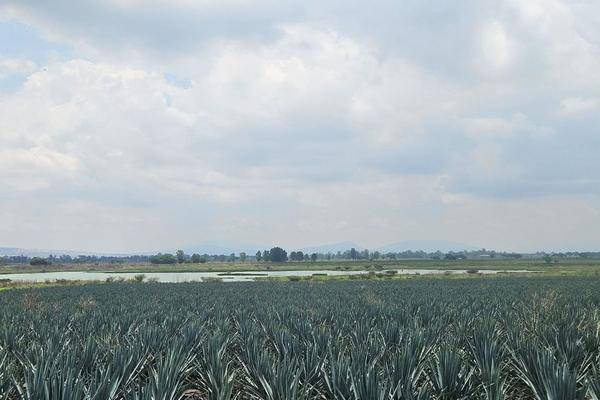 Foto de terreno habitacional en carretera el zapote , villas los cantaros, san pedro tlaquepaque, jalisco, 0 foto 03 Foto de terreno habitacional en venta en carretera el zapote , villas los cantaros, san pedro tlaquepaque, jalisco, 0 No. 03