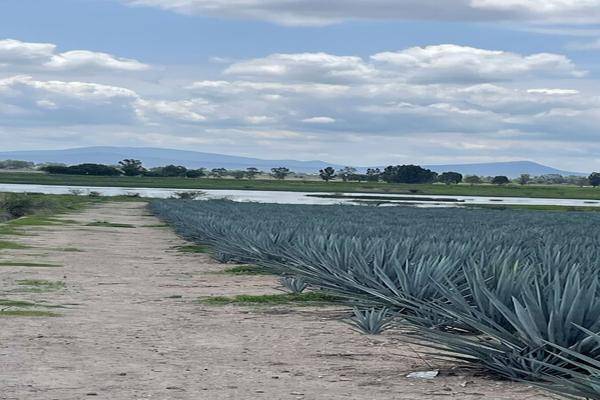 Foto de terreno habitacional en carretera el zapote , villas los cantaros, san pedro tlaquepaque, jalisco, 0 foto 04 Foto de terreno habitacional en venta en carretera el zapote , villas los cantaros, san pedro tlaquepaque, jalisco, 0 No. 04