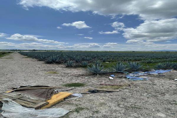 Foto de terreno habitacional en carretera el zapote , villas los cantaros, san pedro tlaquepaque, jalisco, 0 foto 05 Foto de terreno habitacional en venta en carretera el zapote , villas los cantaros, san pedro tlaquepaque, jalisco, 0 No. 05