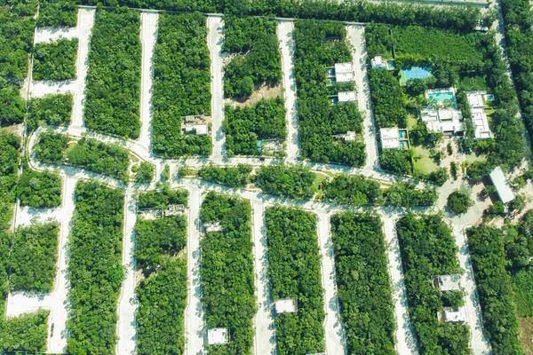 Foto de terreno habitacional en carretera federalcarr. cancún - tulum kilometro 387playa del carmenq.r. , playa del carmen, solidaridad, quintana roo, 28422610 foto 03 Foto de terreno habitacional en venta en carretera federalcarr. cancún - tulum kilometro 387playa del carmenq.r. , playa del carmen, solidaridad, quintana roo, 28422610 No. 03