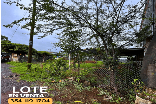 Foto de casa en carretera los reyes - peribán , los pinos, peribán, michoacán de ocampo, 0 foto 03 Foto de casa en venta en carretera los reyes - peribán , los pinos, peribán, michoacán de ocampo, 0 No. 03