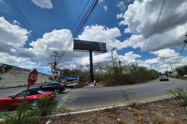 Foto de terreno comercial en carretera mérida motul , cholul, mérida, yucatán, 30469305 foto 06 Foto de terreno comercial en venta en carretera mérida motul , cholul, mérida, yucatán, 30469305 No. 06