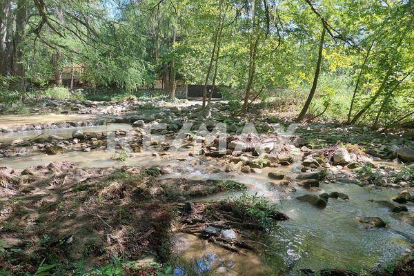 Foto de terreno comercial en carretera nacional , lazarillos de abajo, allende, nuevo león, 0 foto 02 Foto de terreno comercial en venta en carretera nacional , lazarillos de abajo, allende, nuevo león, 0 No. 02