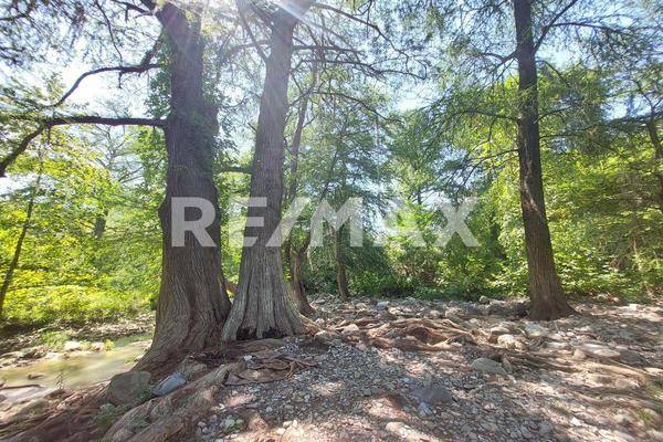 Foto de terreno comercial en carretera nacional , lazarillos de abajo, allende, nuevo león, 0 foto 05 Foto de terreno comercial en venta en carretera nacional , lazarillos de abajo, allende, nuevo león, 0 No. 05