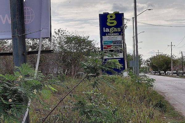 Foto de terreno habitacional en carretera progreso – dzibilchaltún , xcanatún, mérida, yucatán, 0 foto 01 Foto de terreno habitacional en venta en carretera progreso – dzibilchaltún , xcanatún, mérida, yucatán, 0 No. 01
