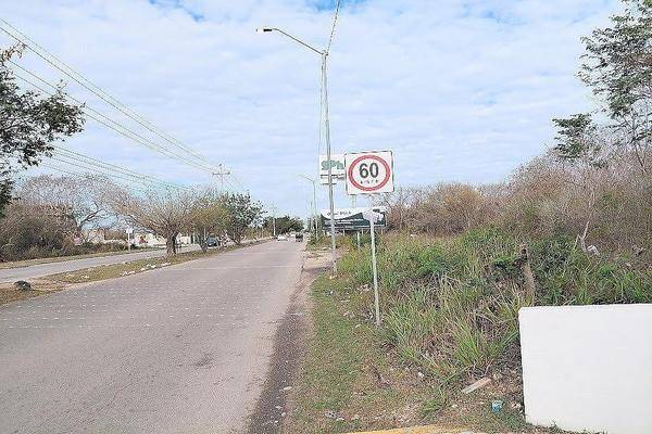 Foto de terreno habitacional en carretera progreso – dzibilchaltún , xcanatún, mérida, yucatán, 0 foto 05 Foto de terreno habitacional en venta en carretera progreso – dzibilchaltún , xcanatún, mérida, yucatán, 0 No. 05