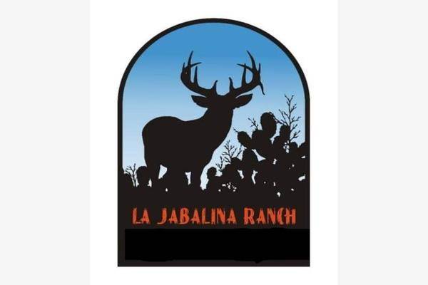 Foto de rancho en carretera progreso , progreso, progreso, coahuila de zaragoza, 15589328 foto 03 Foto de rancho en venta en carretera progreso , progreso, progreso, coahuila de zaragoza, 15589328 No. 03