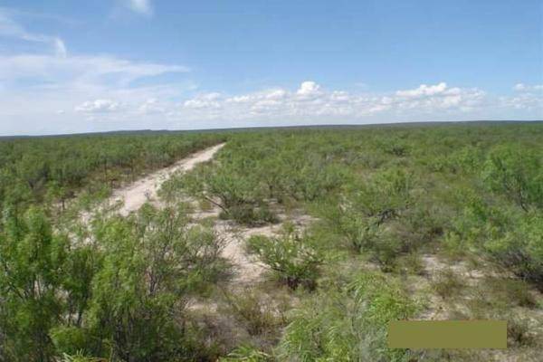 Foto de rancho en carretera progreso , progreso, progreso, coahuila de zaragoza, 15589328 foto 04 Foto de rancho en venta en carretera progreso , progreso, progreso, coahuila de zaragoza, 15589328 No. 04